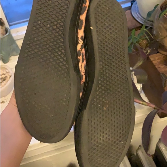 Leopard vans - Picture 2 of 3